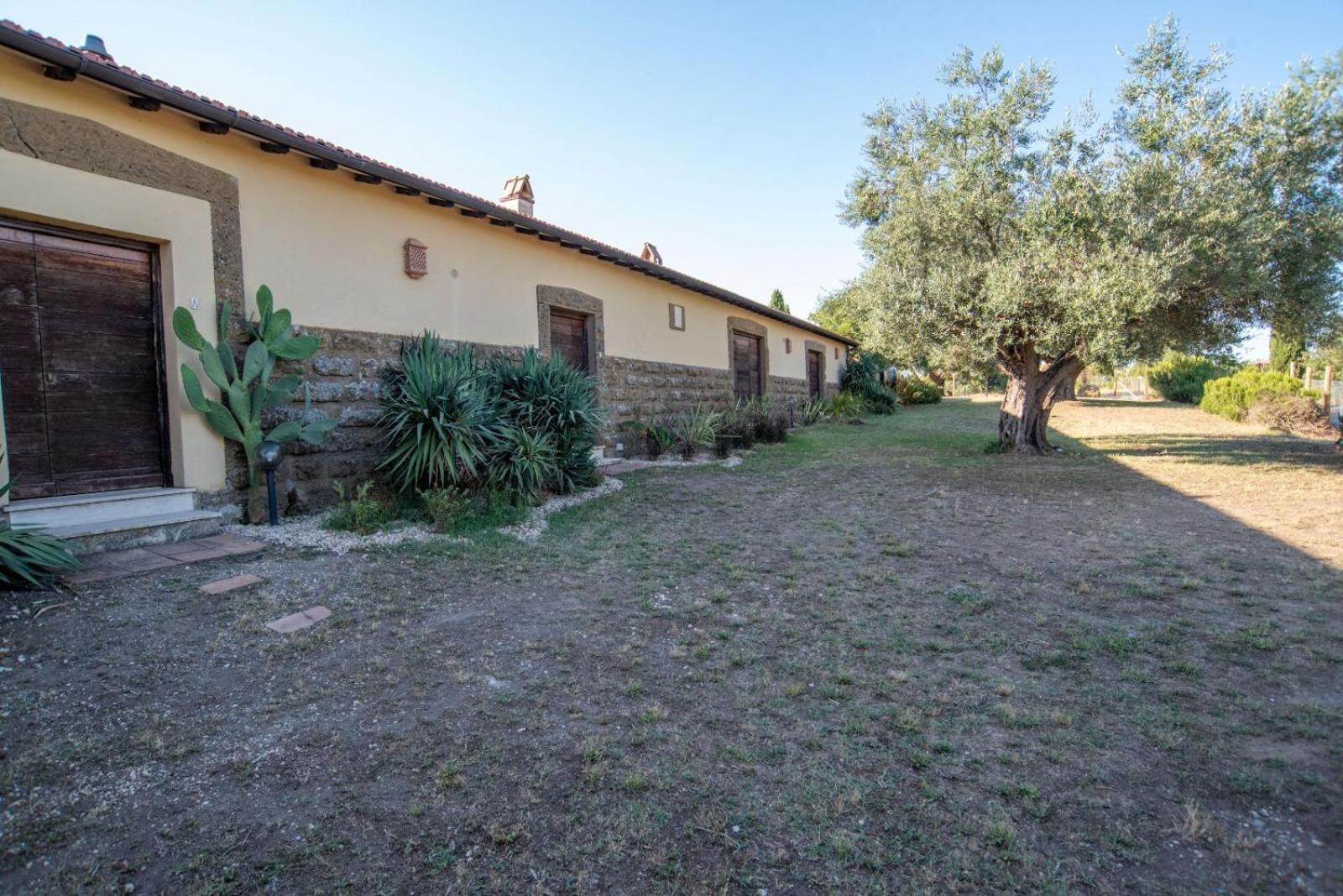 Agriturismo Cerrosughero Canino Extérieur photo