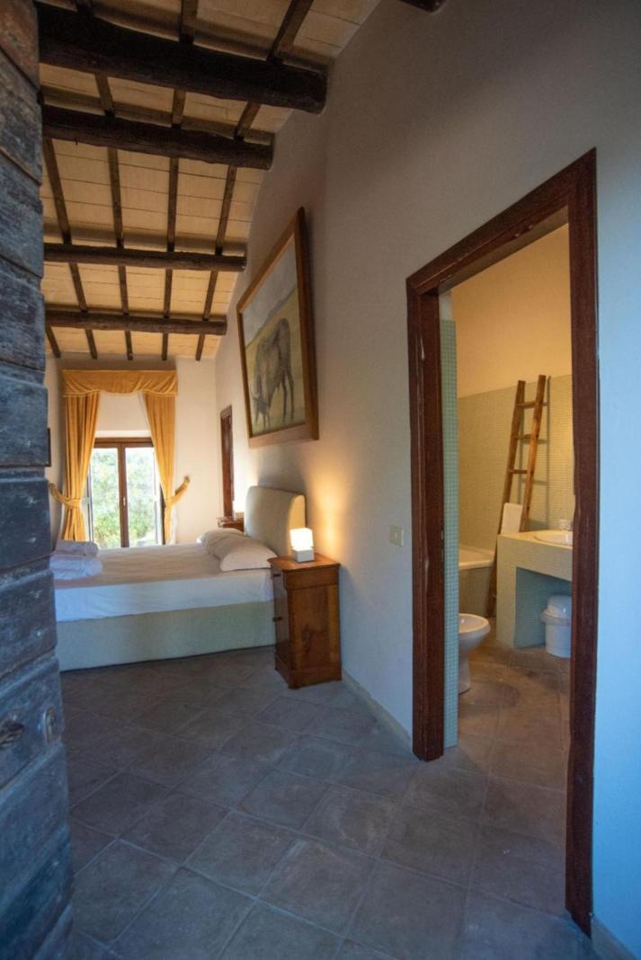Agriturismo Cerrosughero Canino Extérieur photo
