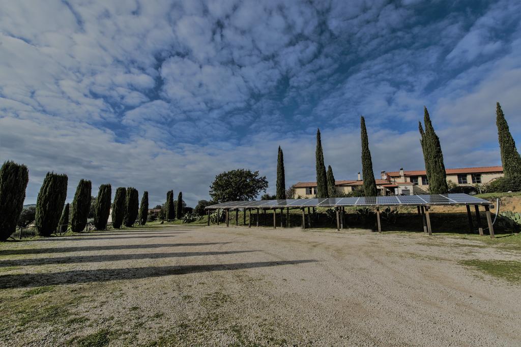 Agriturismo Cerrosughero Canino Extérieur photo